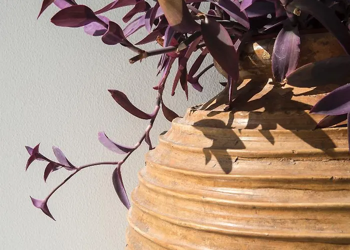 Hotel Aegeon Parikia (Paros)